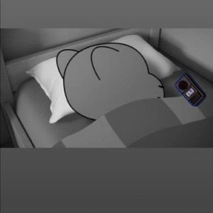 Meet your Posher, Felix